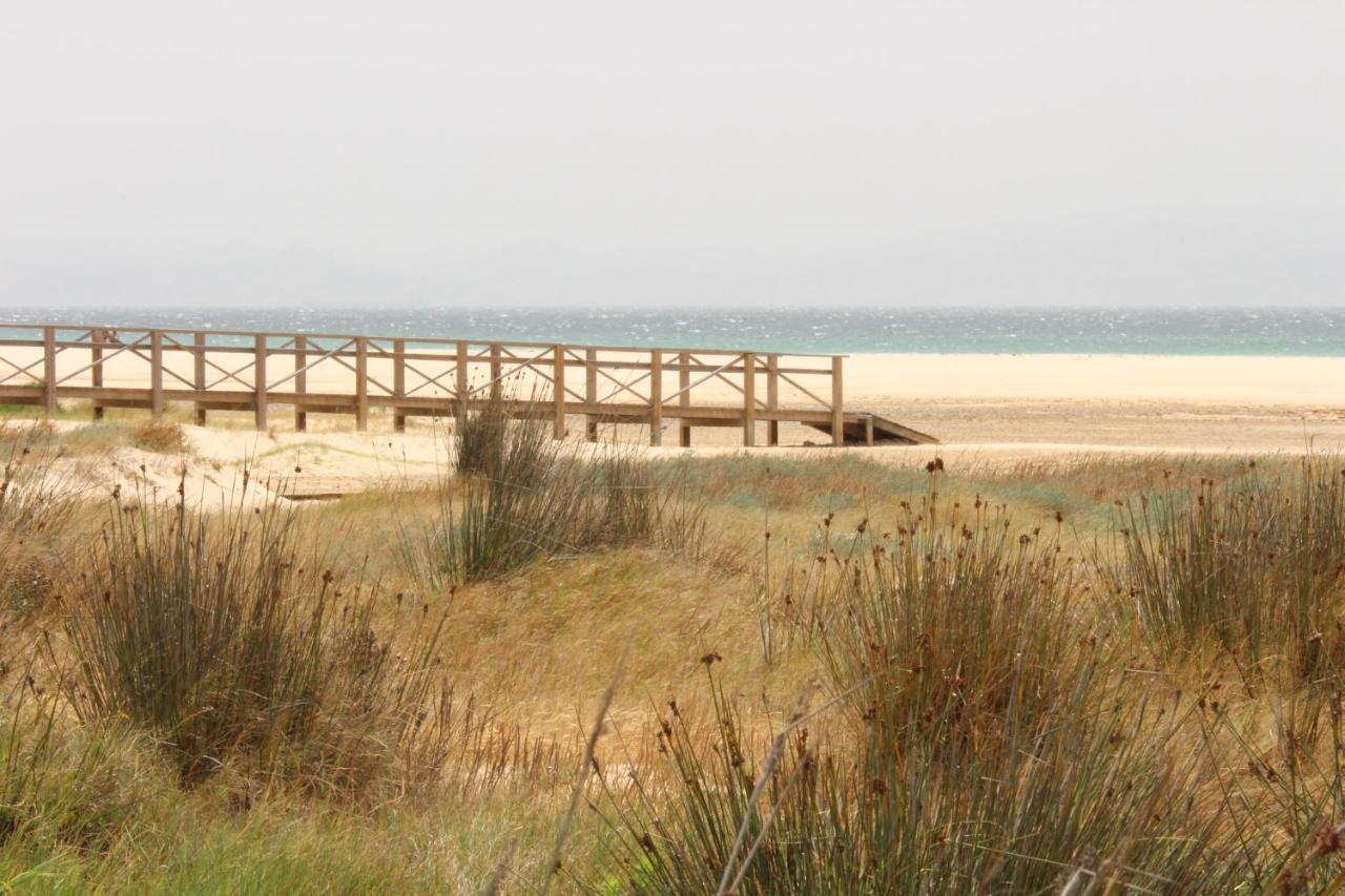 Los Lances Tarifa - Piscina Y Patio Zewnętrze zdjęcie